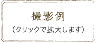 撮影例